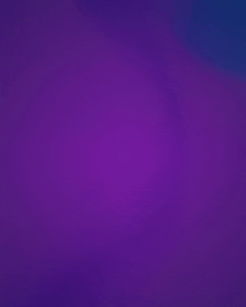 Custom Search Bar