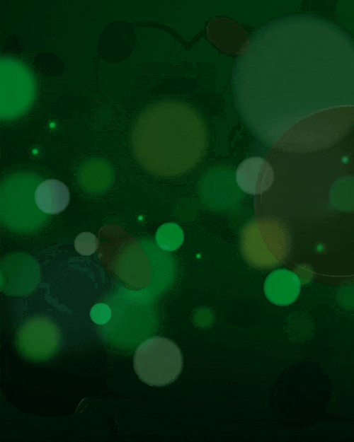 St. Patrick's Day Holiday Promo (Bundle Pack)